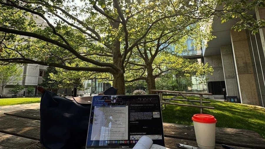 Mia | Flow Insight tweet media