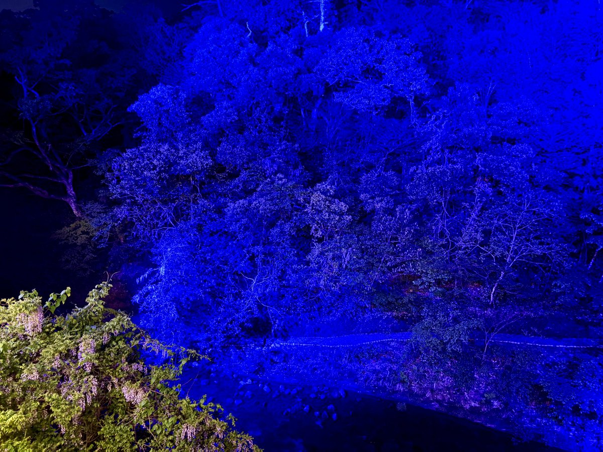 アイアン奥さん tweet media