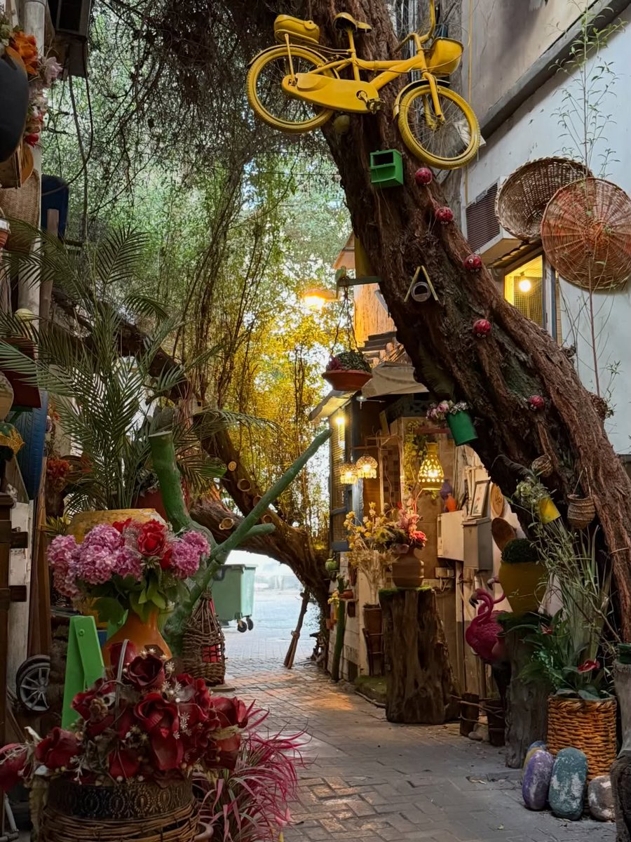 اسأل_البحرين🇧🇭 tweet media