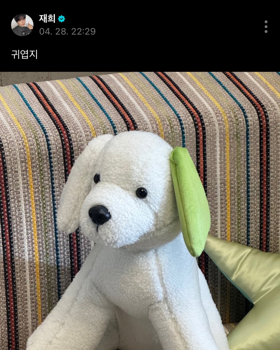 리묘 tweet media