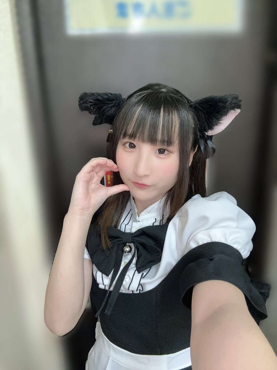 うい🐾 tweet media