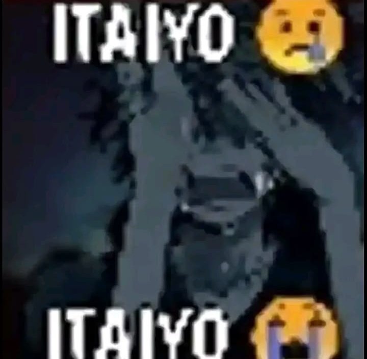 kaylee k/ia tweet media