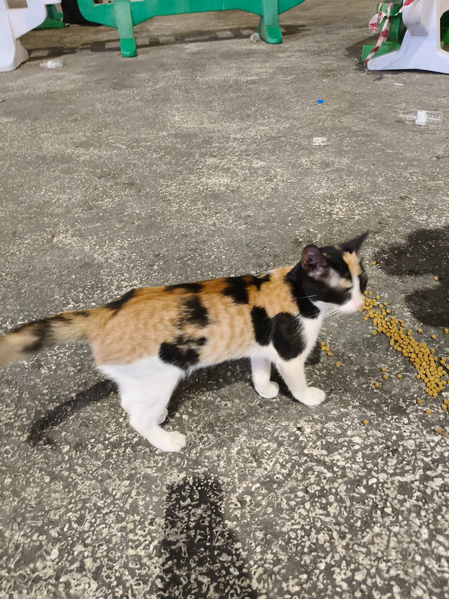 يه الف tweet media