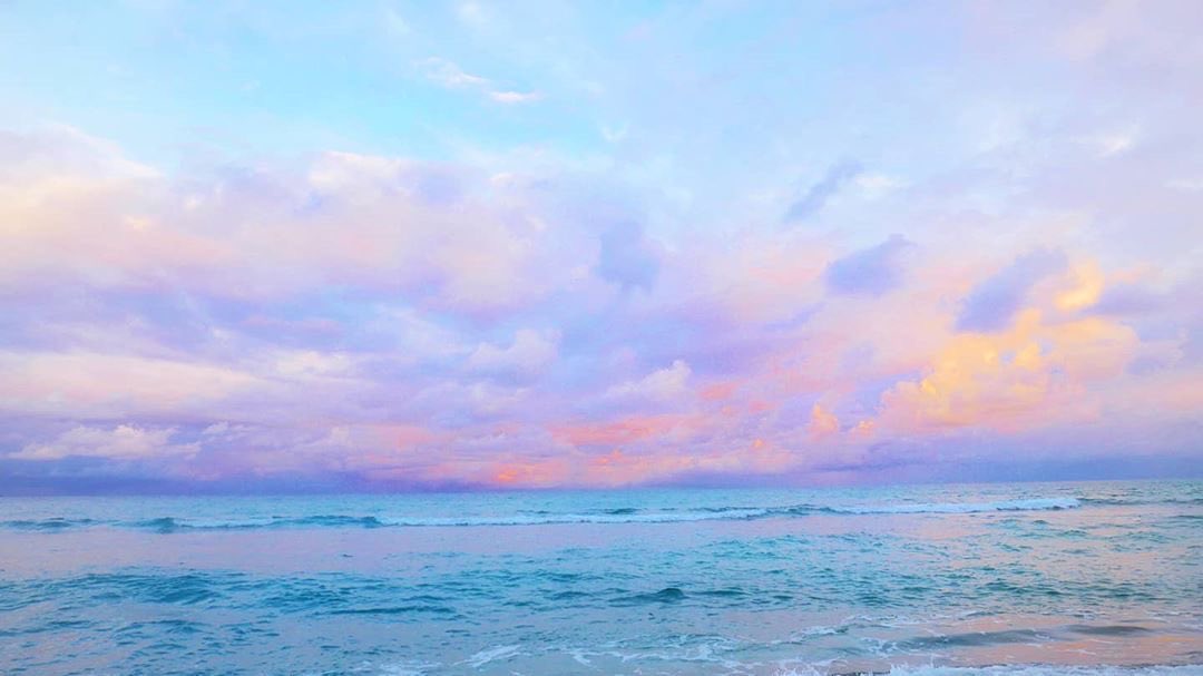 HeavenOnEarth tweet media