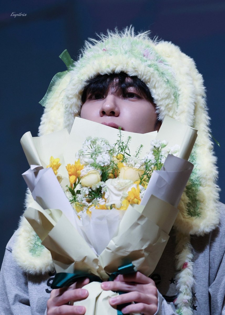 Eupilria tweet media