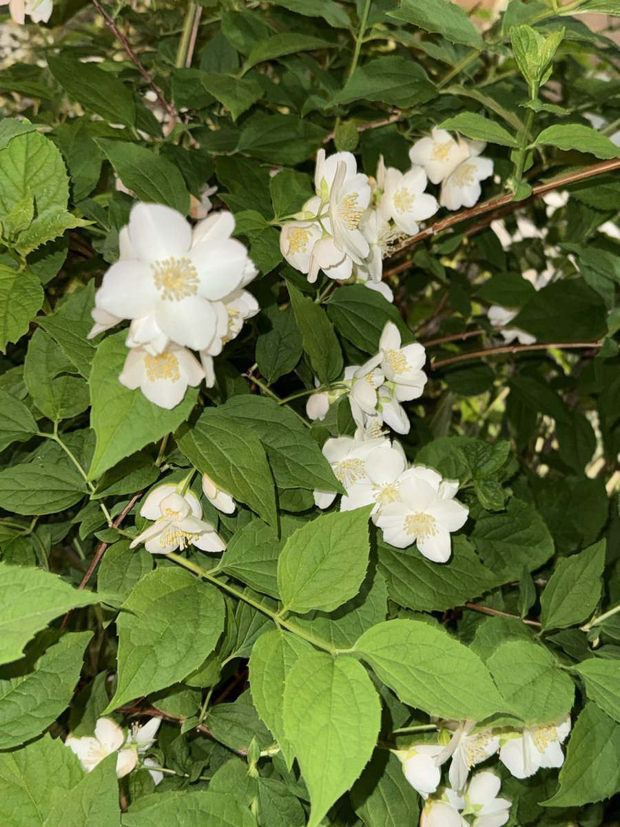 □ 【Explosive Spring]】“This year, the power of spring is moving
