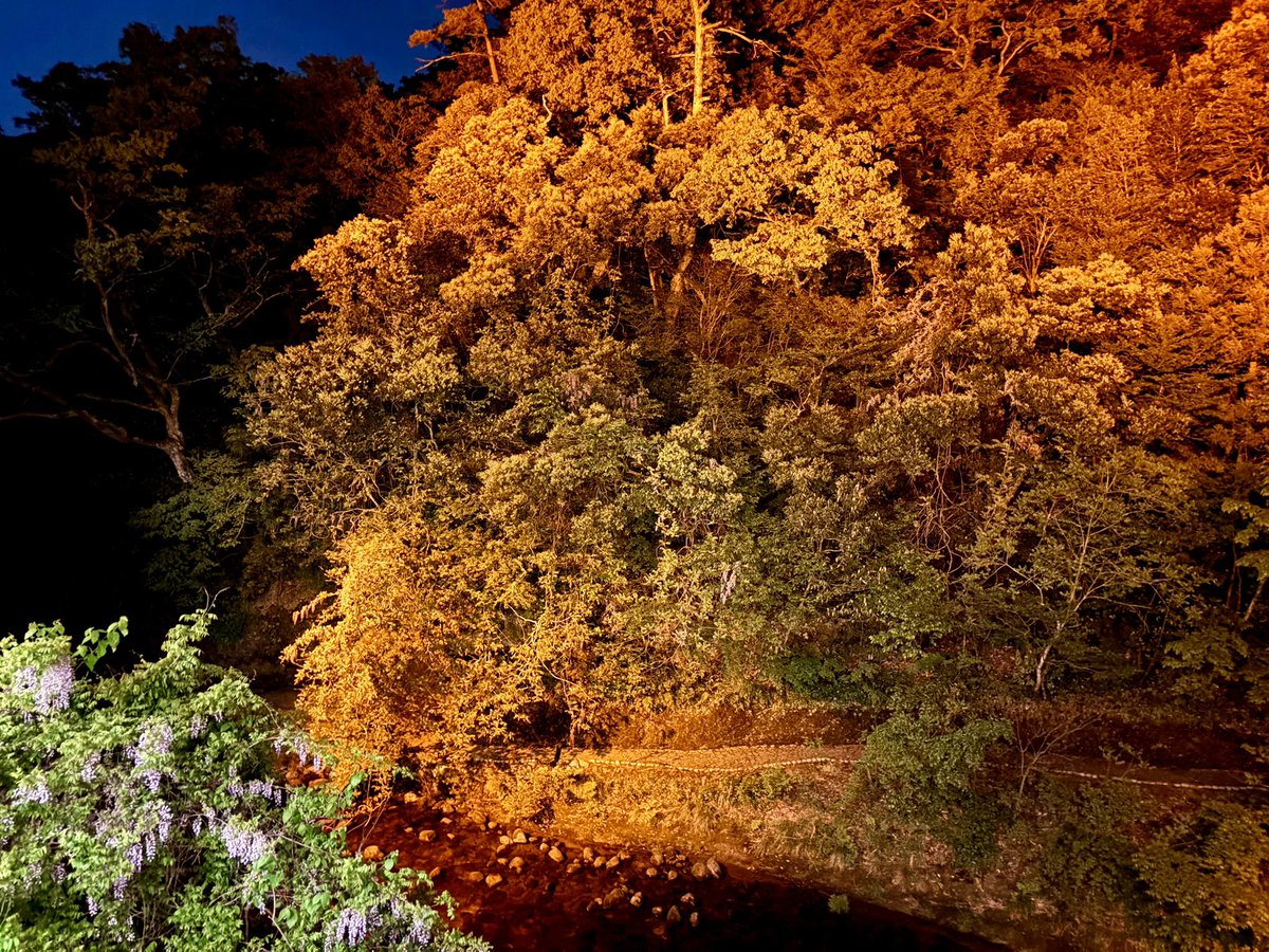 アイアン奥さん tweet media