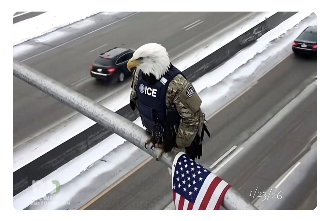 LynnVac66's tweet image. #heroes ICE