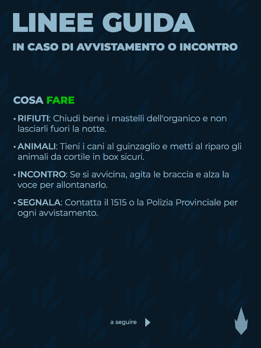 Dennis_Artista's tweet image. #Lupo nel #Salento: siglato accordo @LecceProvincia e Enti Parco per il monitoraggio scientifico.
​✅ Censimento con fototrappole e DNA
✅ Supporto agli allevamenti
✅ Sicurezza e corretta informazione
​Scienza e legge (157/92) per una coesistenza sicura.