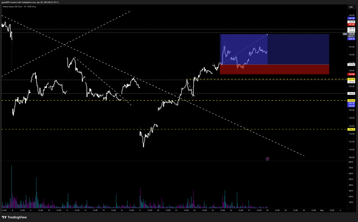 mister.door tweet media