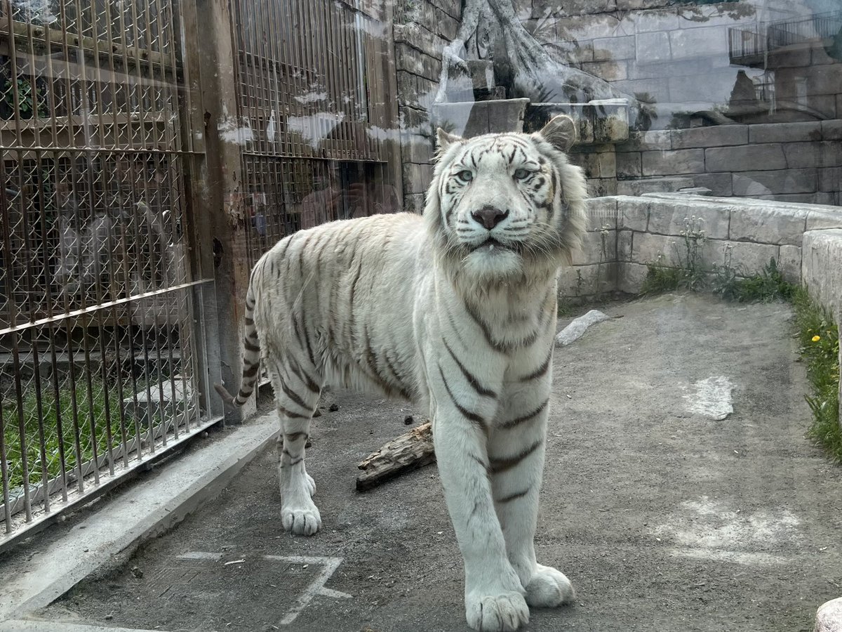 shota7113's tweet photo. 今日も東武動物公園は平和でした🫠 https://t.co/XOMQdtVT92