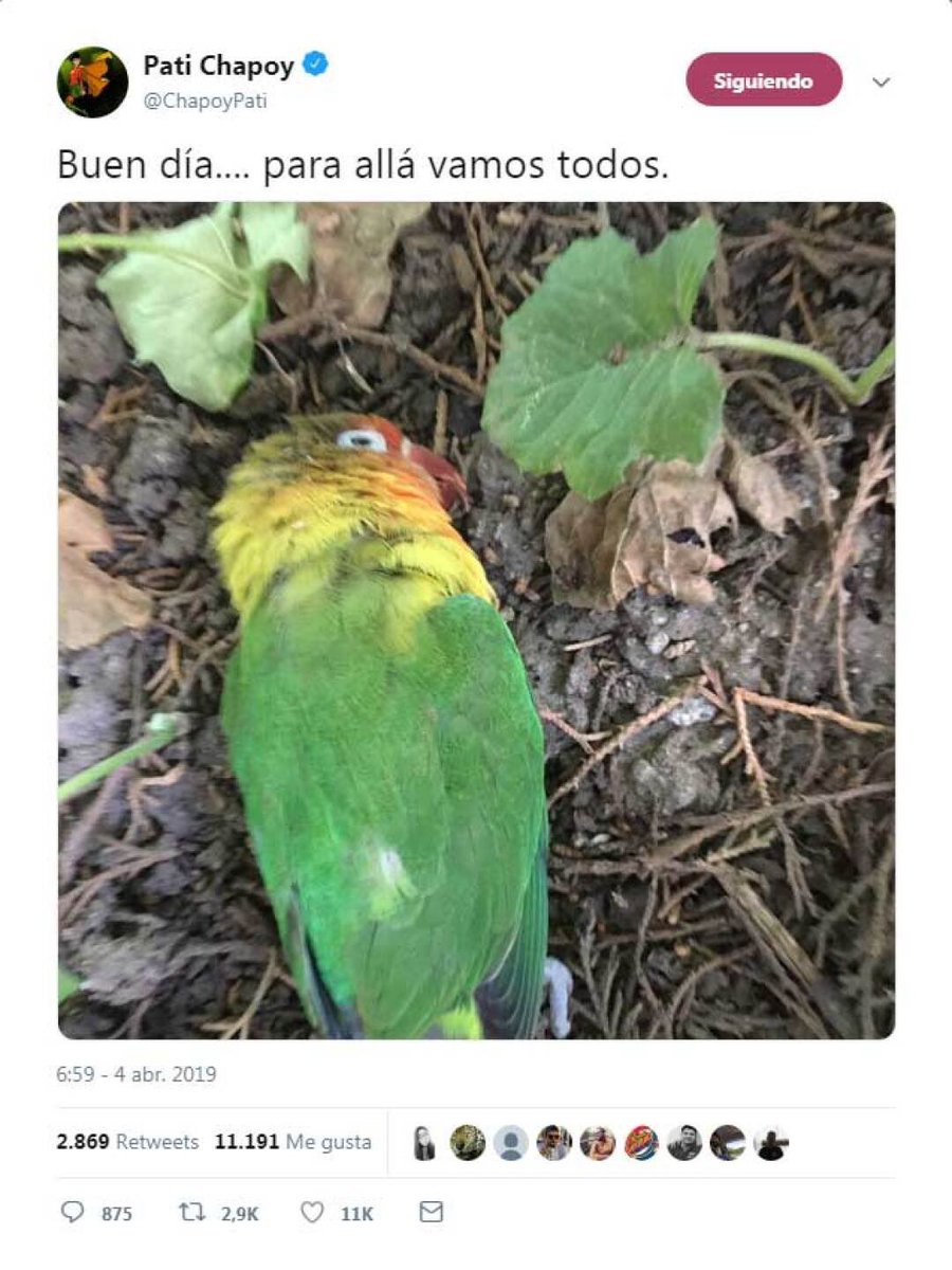 dedo meñique del pie de nate jacobs tweet media