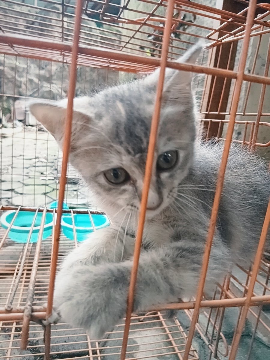 ヾil☆.⑅ tweet media