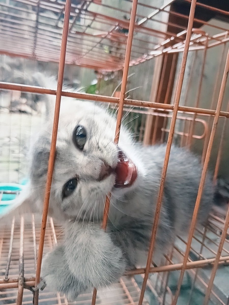 ヾil☆.⑅ tweet media