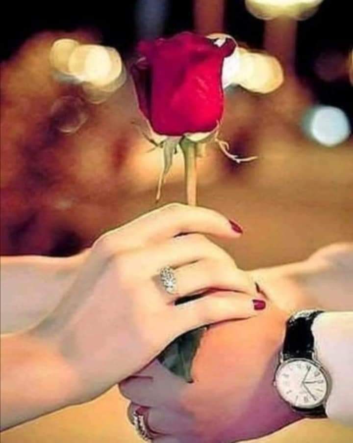 siirbahcesin's tweet image. • Bırak da seveyim seni, 
biliyorum senin de 
buna ihtiyacın var…

| İlhan Berk

#Aşk