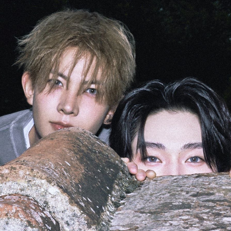 nash •⩊• tweet media