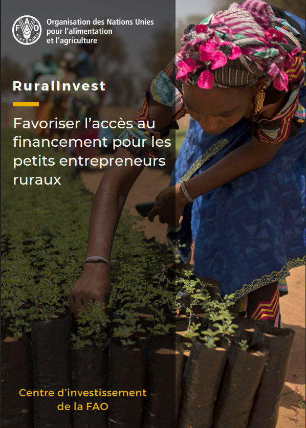 FAOCameroun's tweet image. ✅En cours
Présentation de l’outil #RuralInvest (RIV20) aux cadres de @MinaderCm. 
🎯Objectif : Renforcer une compréhension commune de l’outil et explorer les pistes de son intégration dans les mécanismes de vulgarisation agricole et d’appui aux exploitations au #Cameroun 🇨🇲.
