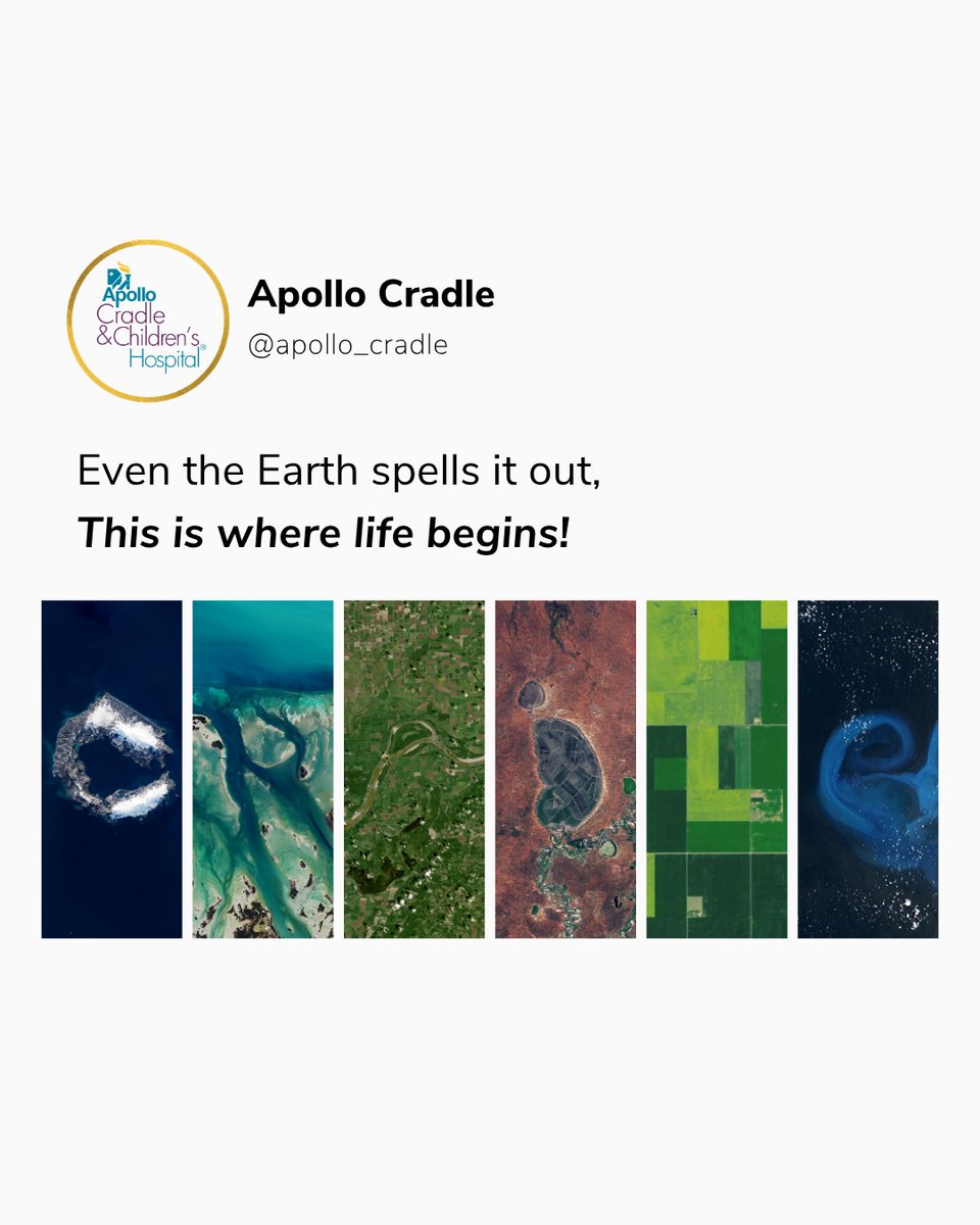 Apollo Cradle tweet media