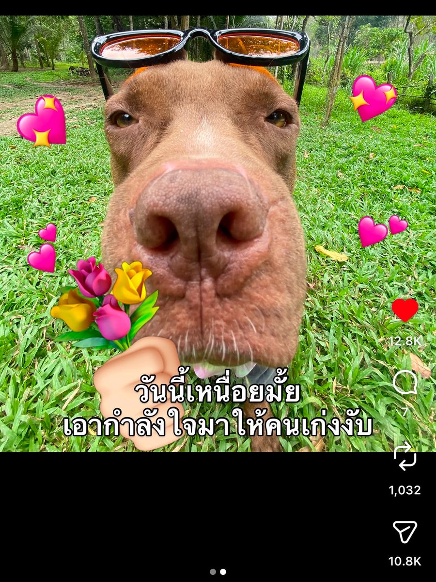 •_• babbooja tweet media