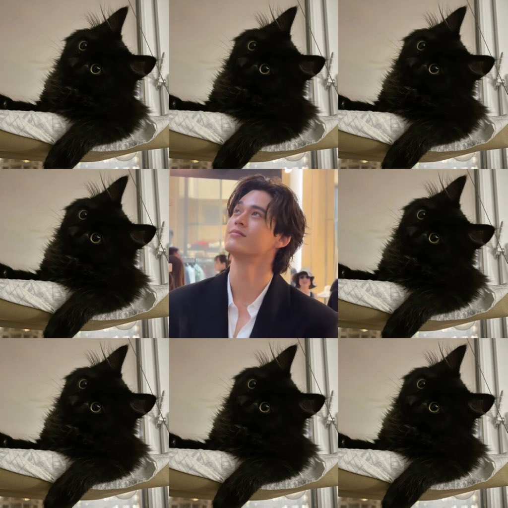 ʚ เบบี้พาว ɞ ⋆˚🐾˖° for เบบี้ตั้ว /ᐠ⑅ᐟ\ ୨୧ tweet media