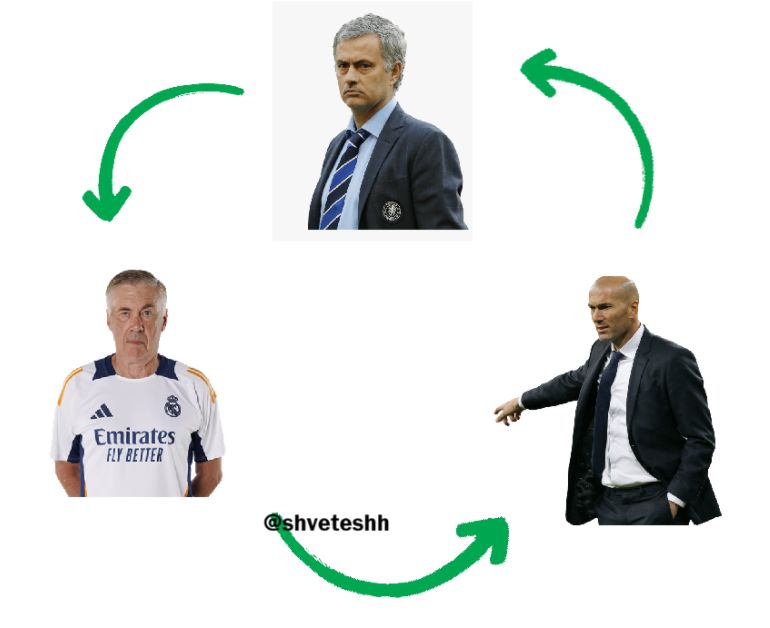 shveteshh tweet media