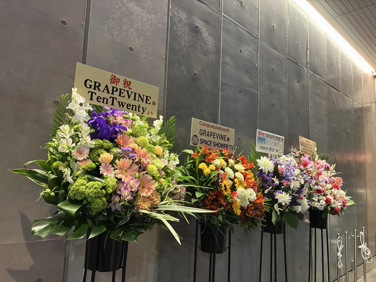 umekan's tweet image. #GRAPEVINE スプリングツアー行ってきた
安定の良いライブだったー
新旧織り交ぜたセットリスト
楽しかった