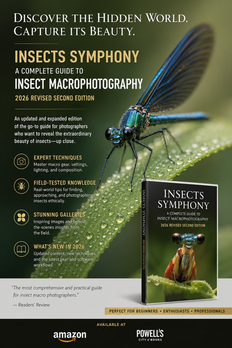 HylariTanaka's tweet image. amazon.com/dp/B0GWDCKSNN
This beautifully illustrated #guide takes you from your very first #dragonfly #portrait to gallery-worthy images of tiny crawling #insects, all while teaching you to #photograph with respect and wonder

#Insect #Photography #Macro #Nikon #Canon  #Photo