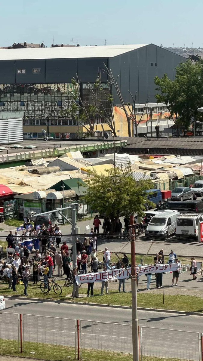 Јелица Јарић 🐝 tweet media