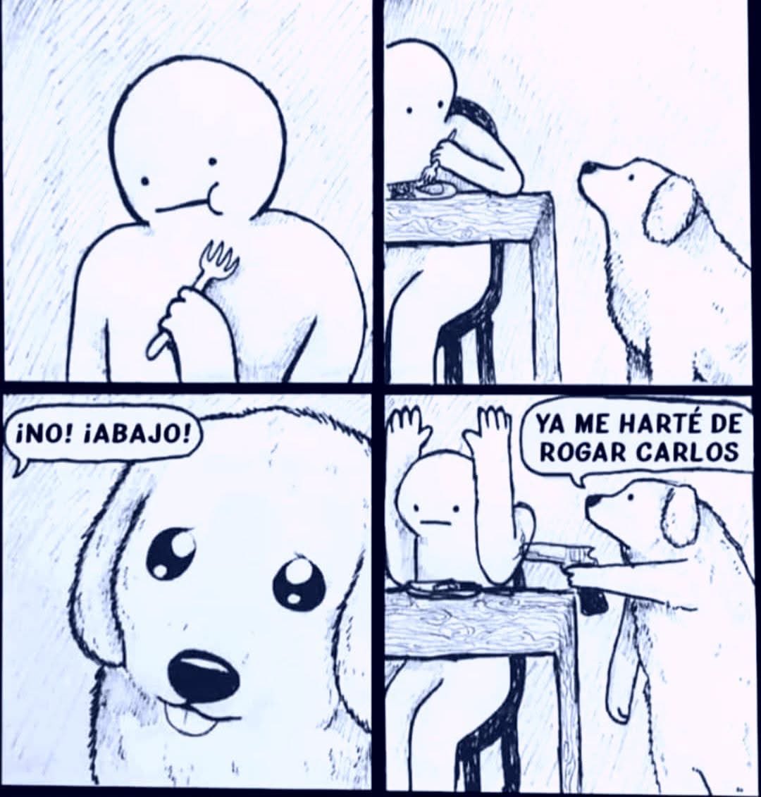 Dilo con perritos tweet media