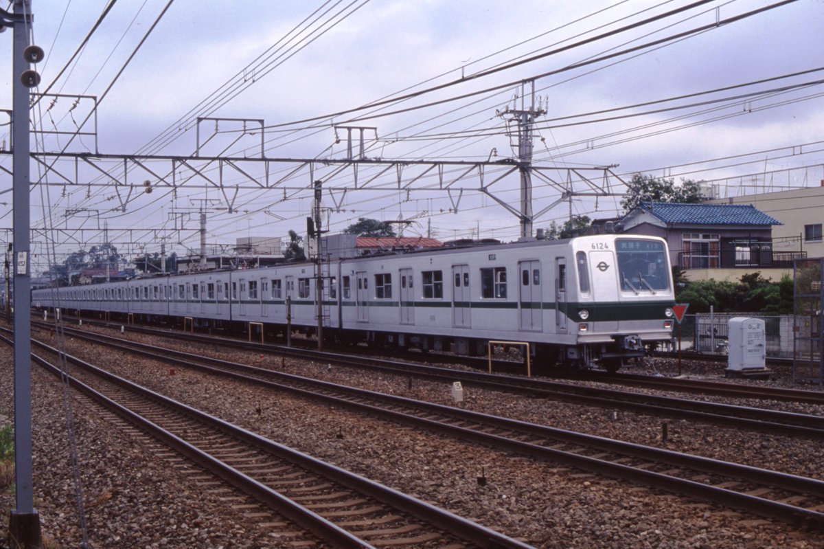 モハシ21003 tweet media
