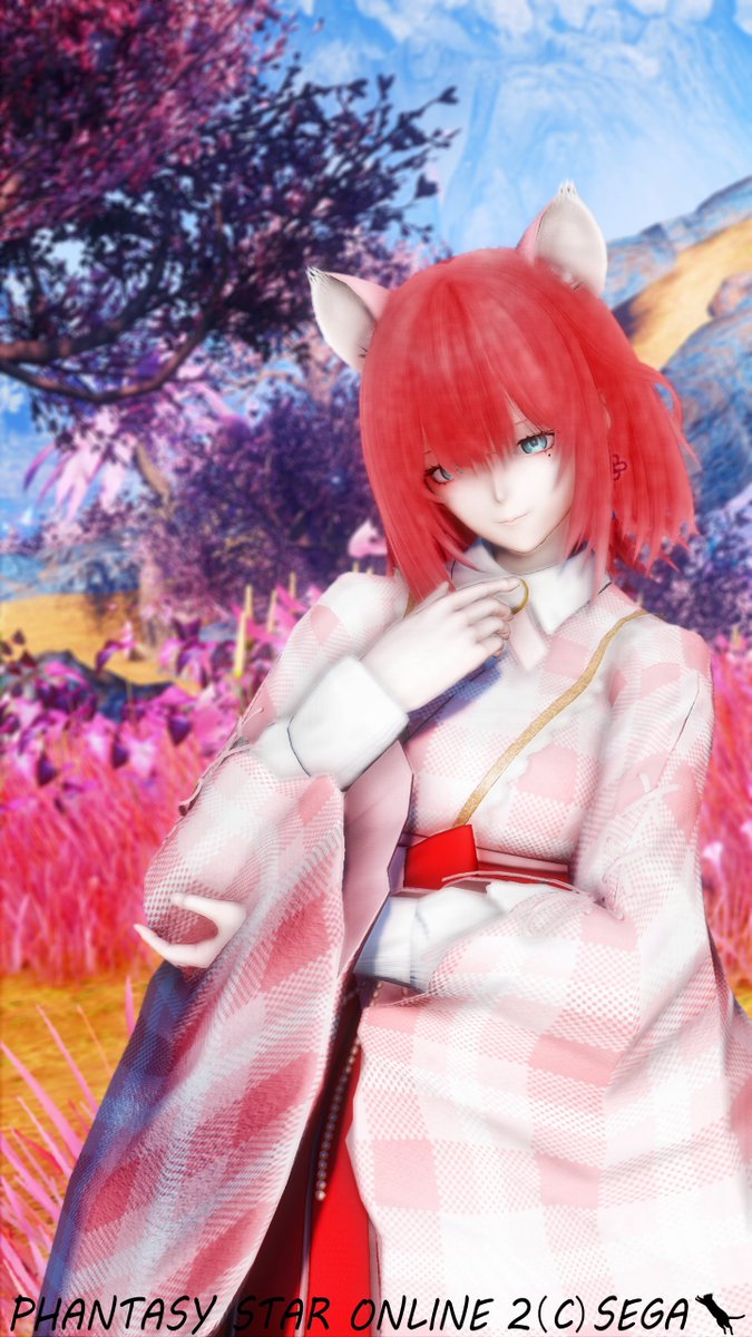 ╰ᘏᗢ三毛猫ᗢᘏ୭ tweet media