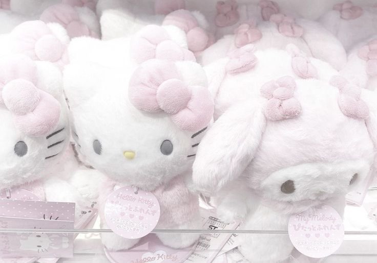 tokkidoki 𐙚 tweet media