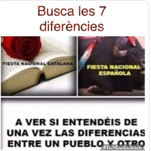 Cap-i-pota tweet media