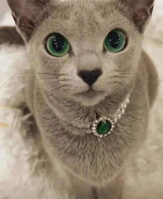 Kristina Bolten tweet media