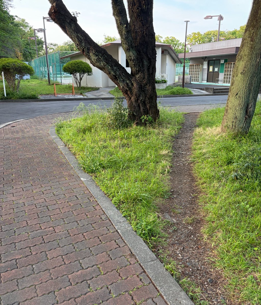 ほし tweet media