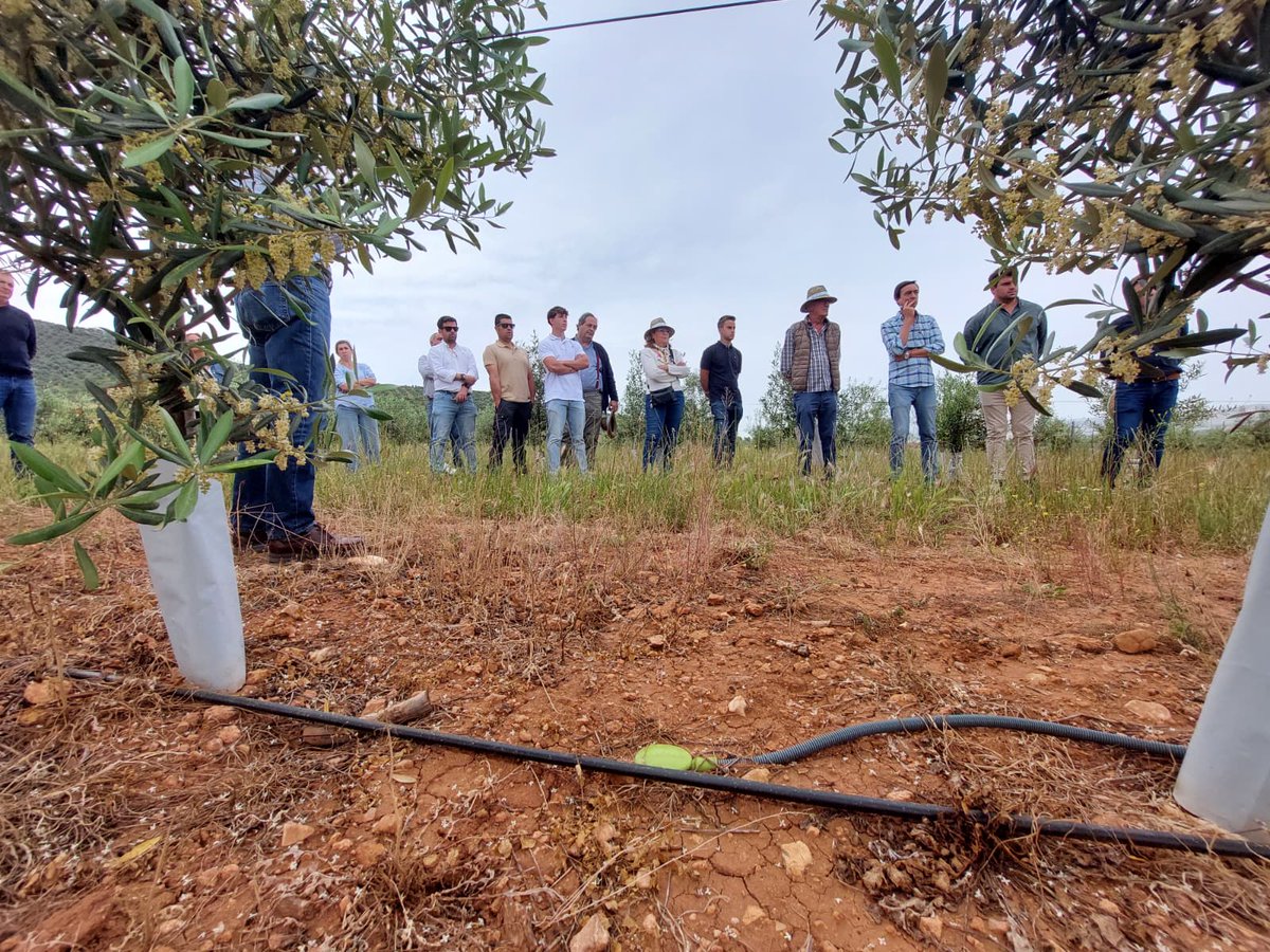 Demofarm Andalucia tweet media
