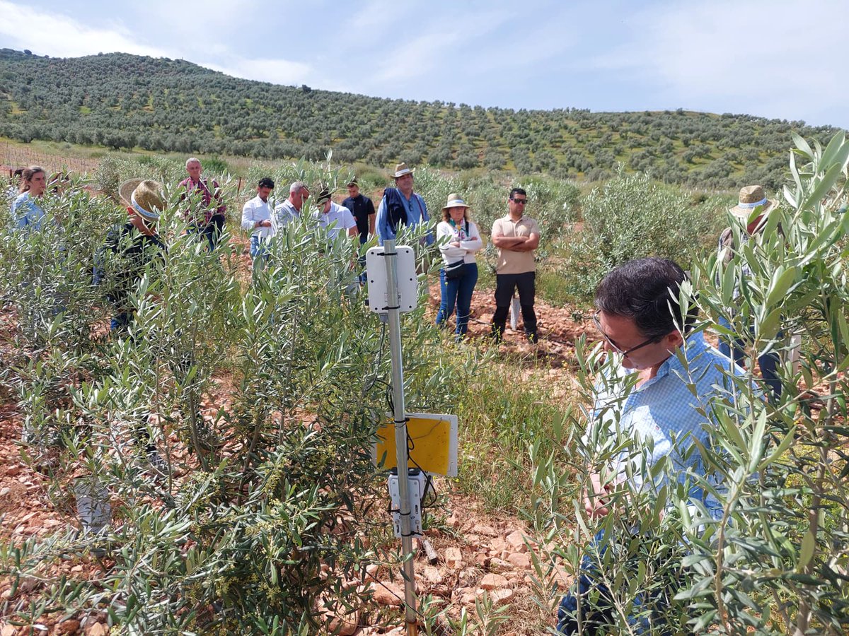 Demofarm Andalucia tweet media