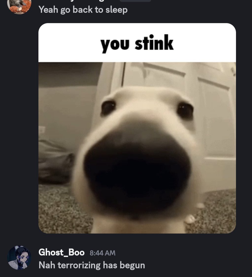 ghost.boo⁸ tweet media