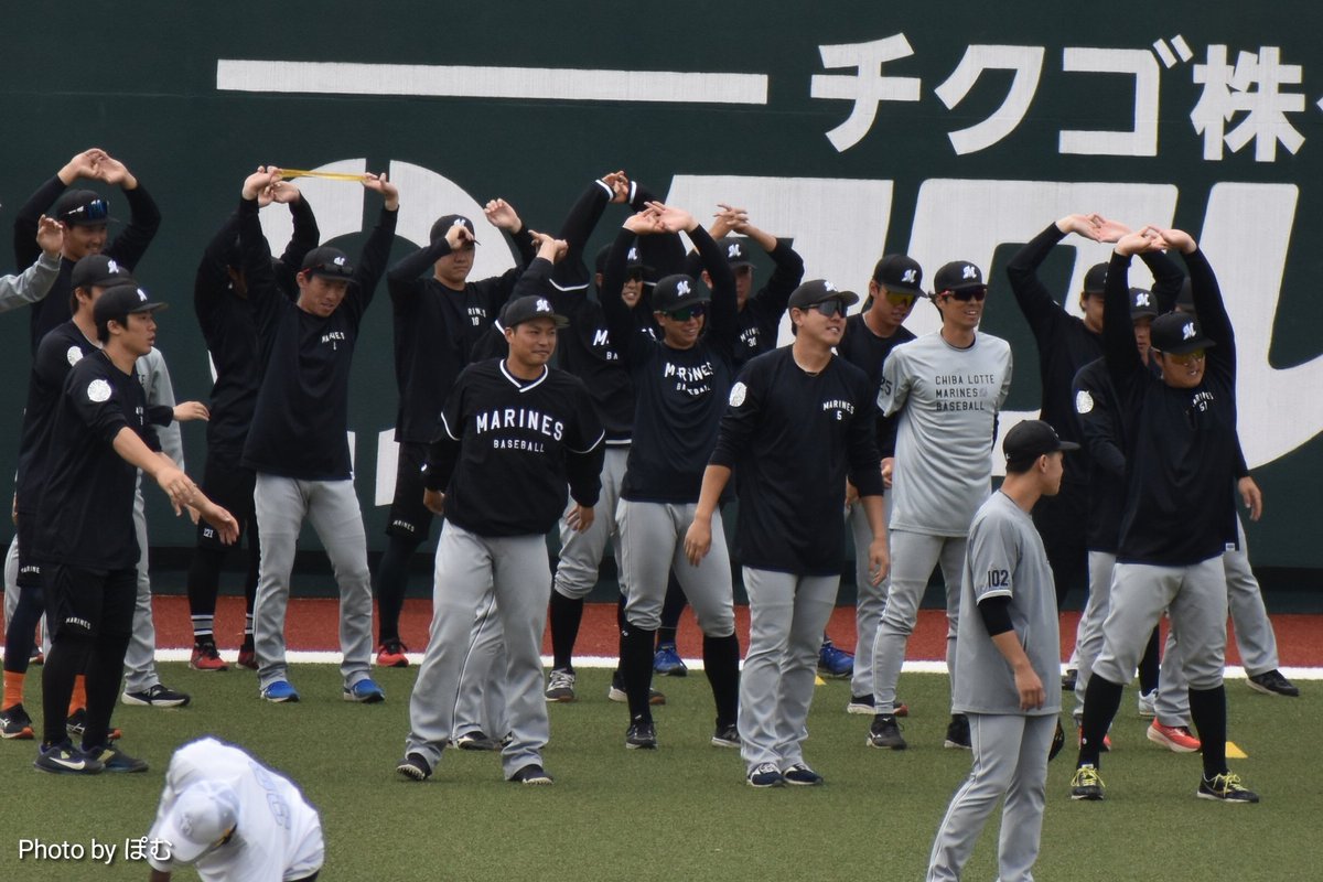 ぽむ@全も連 もちを育成する tweet media