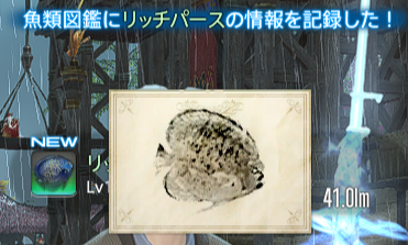 ぽむ@ramuh tweet media