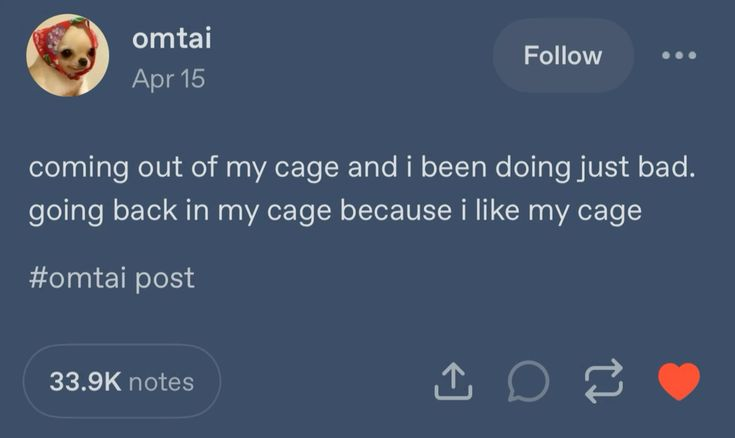 𝖈𝖍𝖆𝖇𝖆𝖟𝖎𝖙𝖊 tweet media