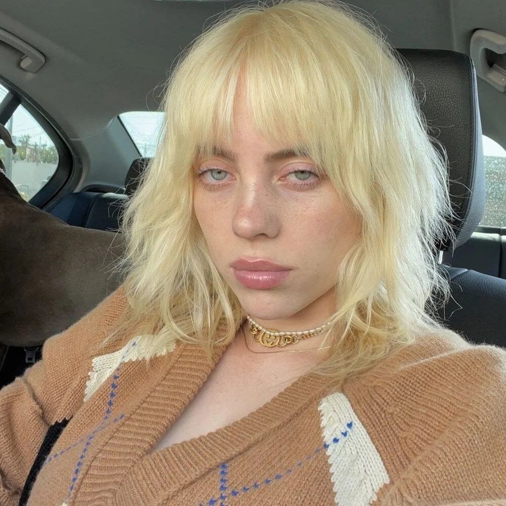 bpthaber's tweet photo. Billie Eilish, İkizler burcu bir erkekle ilişki yaşadıktan sonra astrolojiye inanmaya başladığını açıkladı.

“İkizler kadınları harika, erkekleri ise cehennemin dibine gitsin,” https://t.co/pTU09jjyCj