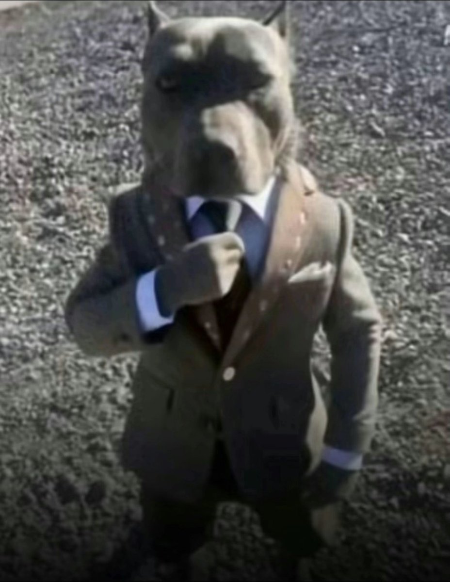 ActOneEman tweet media