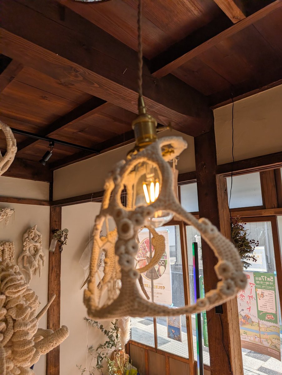 山口三輪 Miwa Yamaguchi tweet media