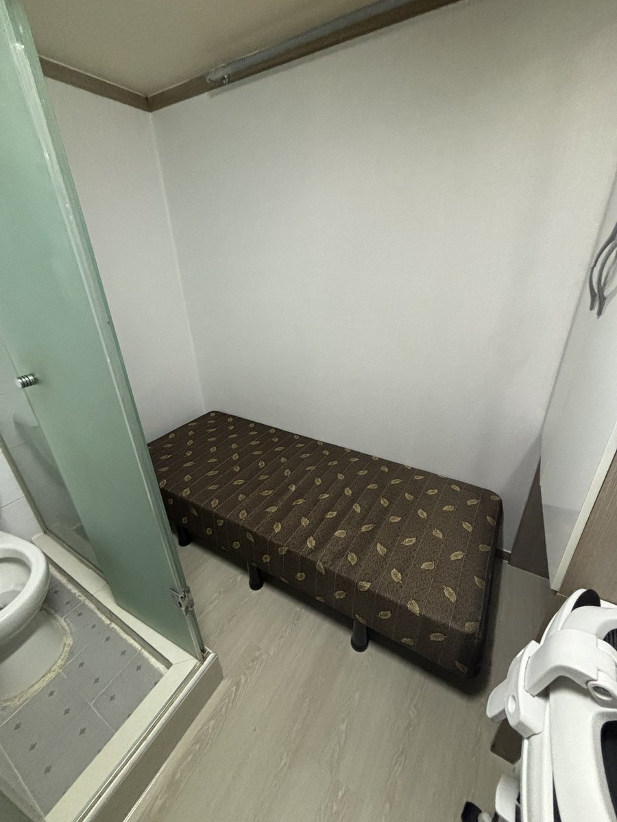 とうがらし ペリカンDT tweet media