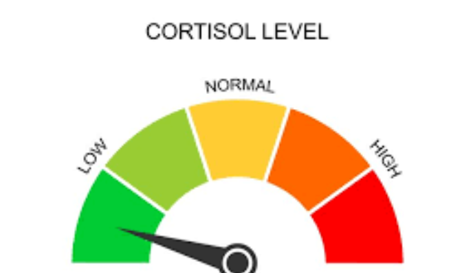 isotball tweet media