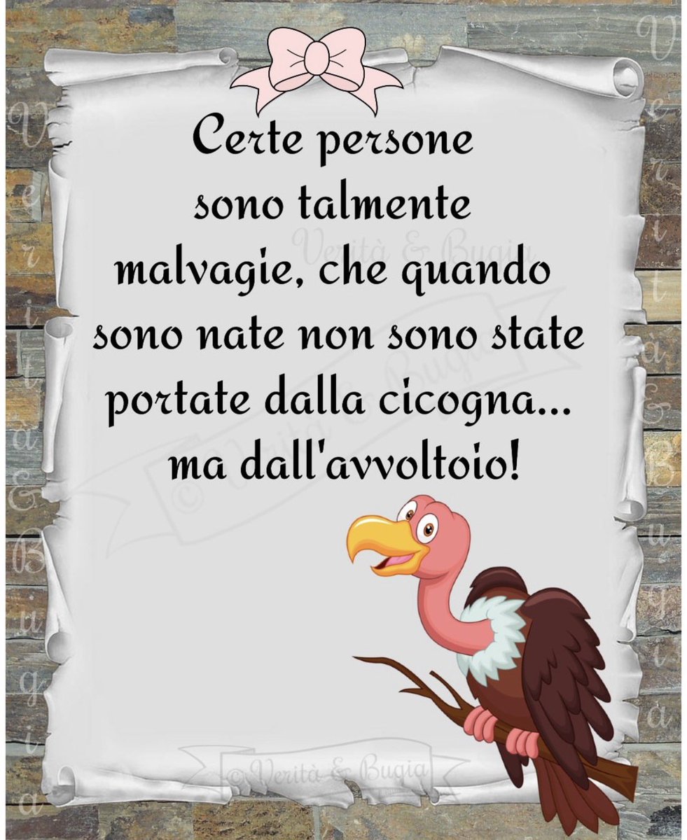 Sara”Zia Baby P” tweet media