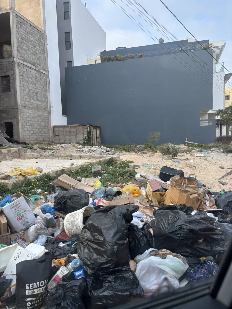 Dior fely 🧜🏽‍♀️ tweet media