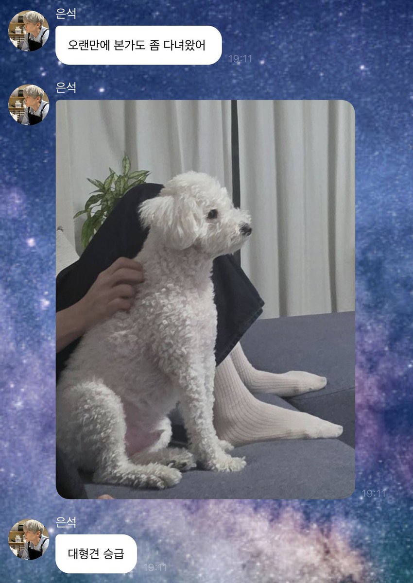 아   ㅆ    나개뿜터짐실화야
은석: 찰리 대형견 승급    아~~~~   ㅜㅜ