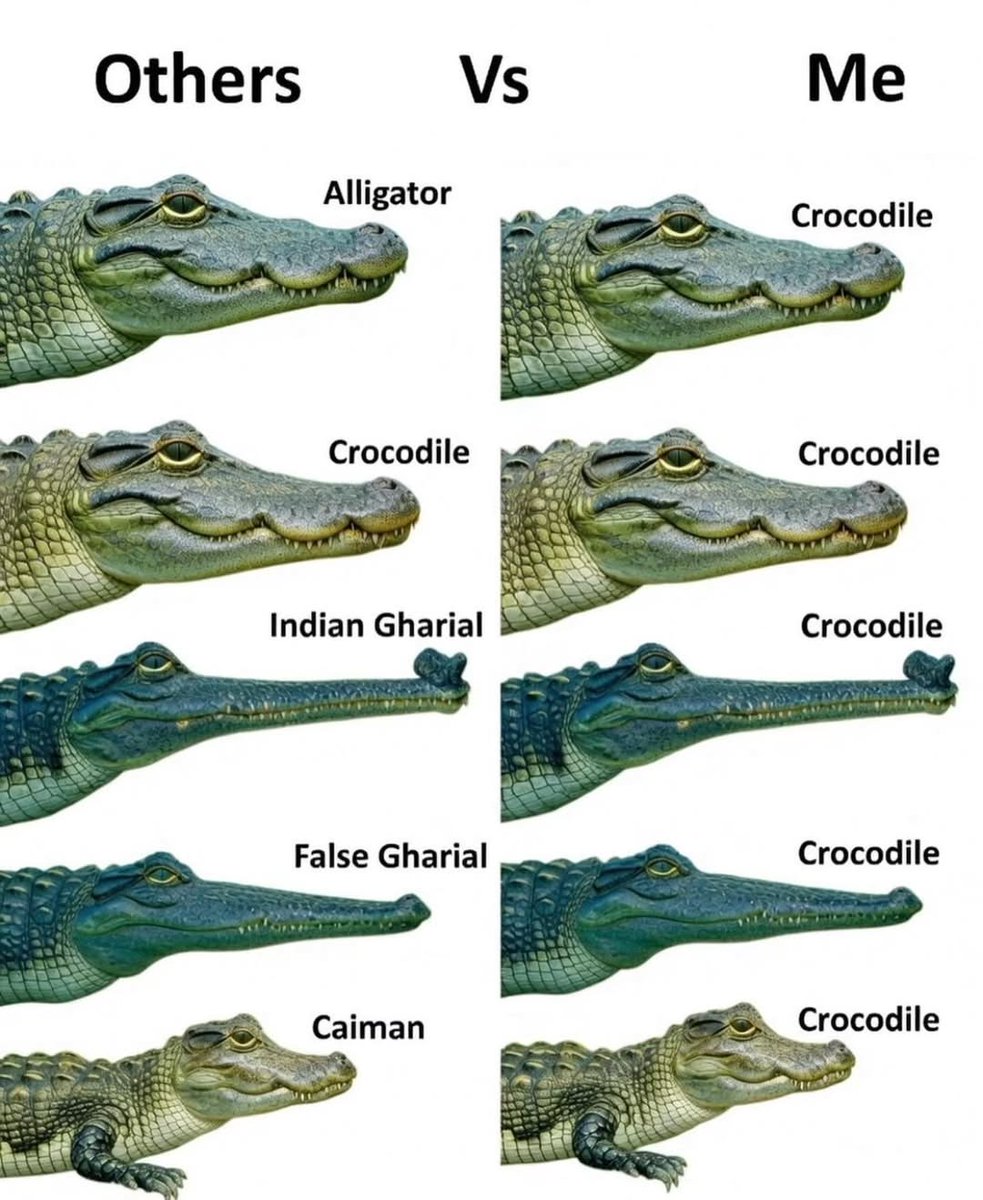 English Language Club tweet media